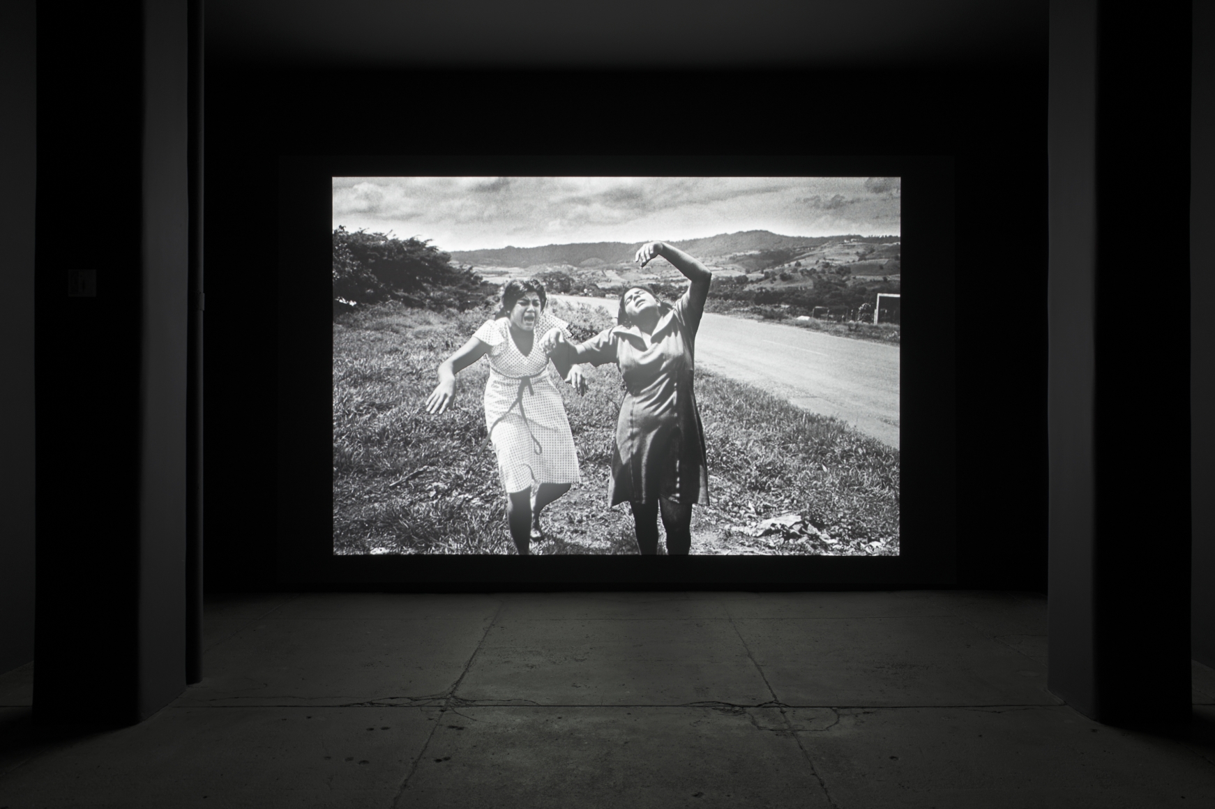 Alfredo Jaar Artists Galerie Lelong & Co.