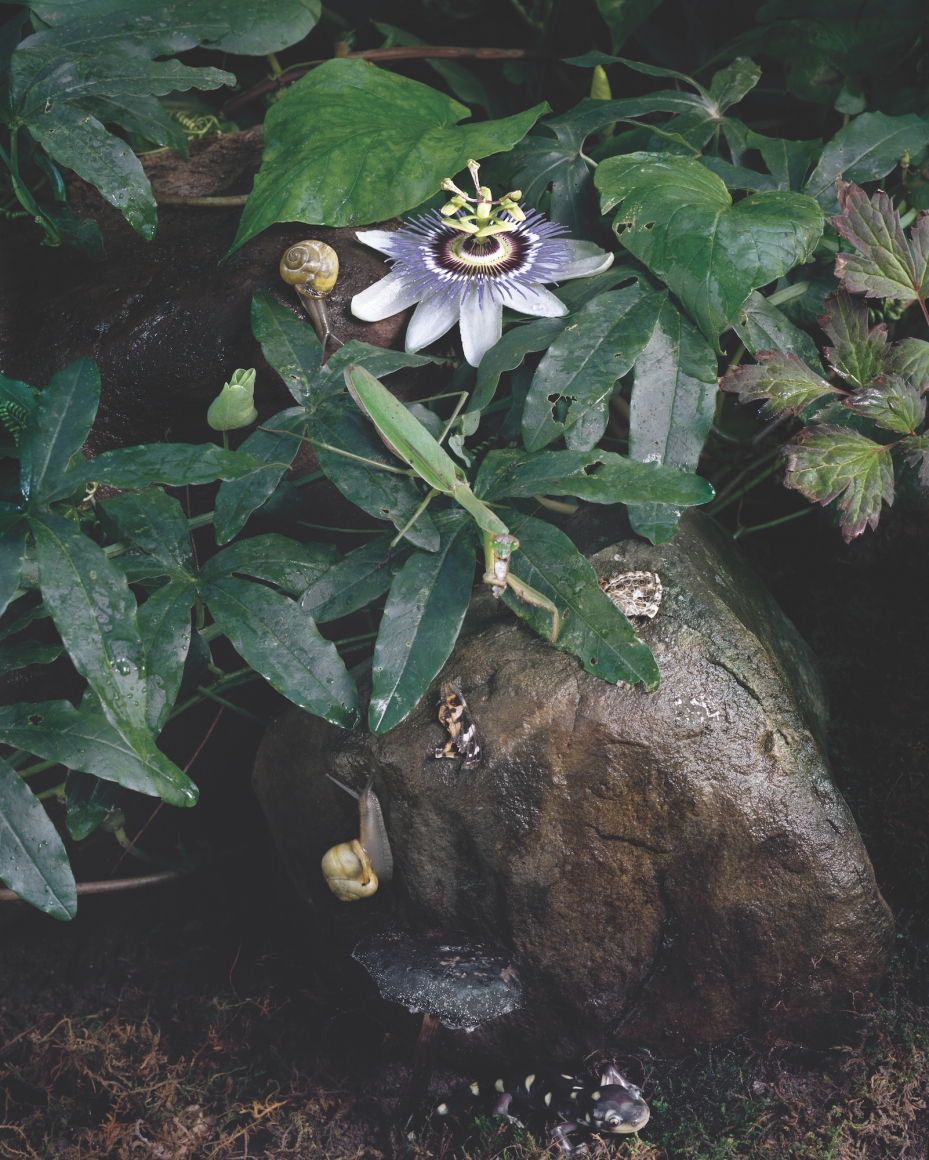 Sharon Core - Exhibitions - Tracey Morgan Gallery - Contemporary fine ...