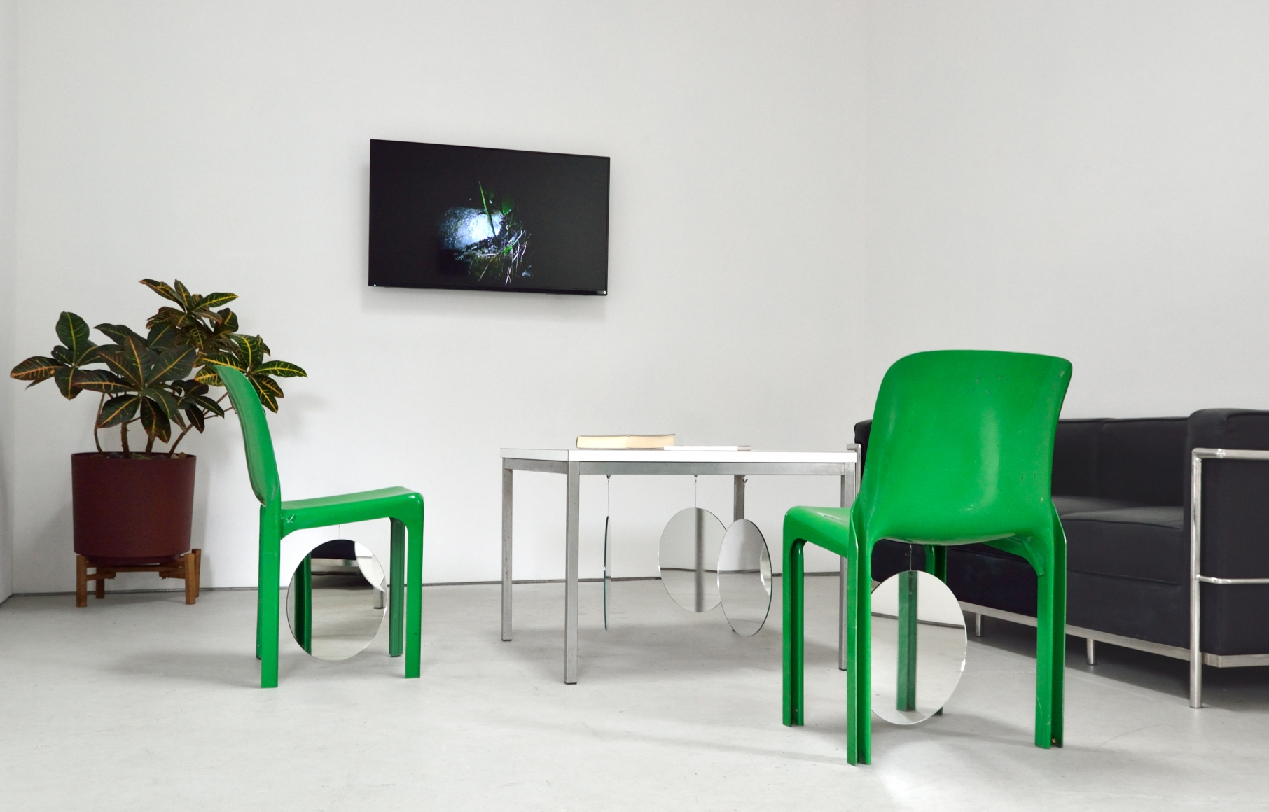 Installation view audience ≒ one