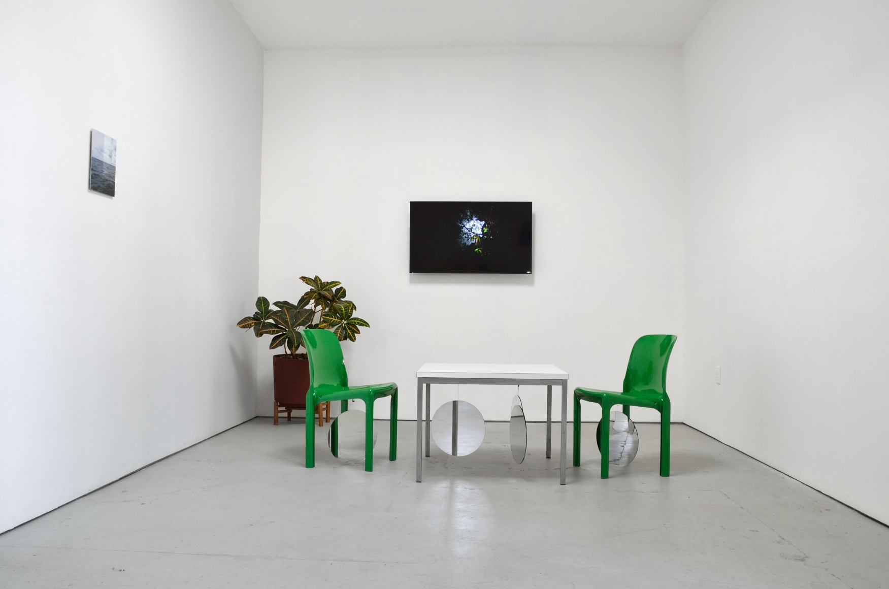 Installation view audience ≒ one