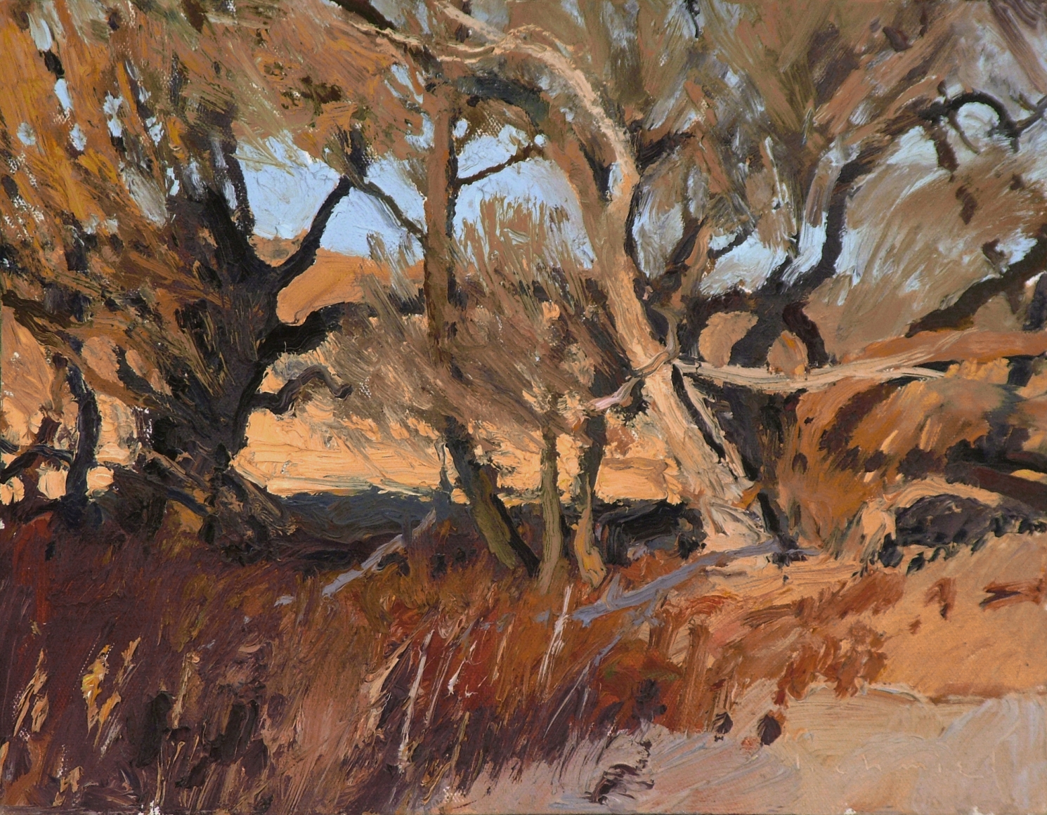 chmiel sand hills survivors oil ARIZONA