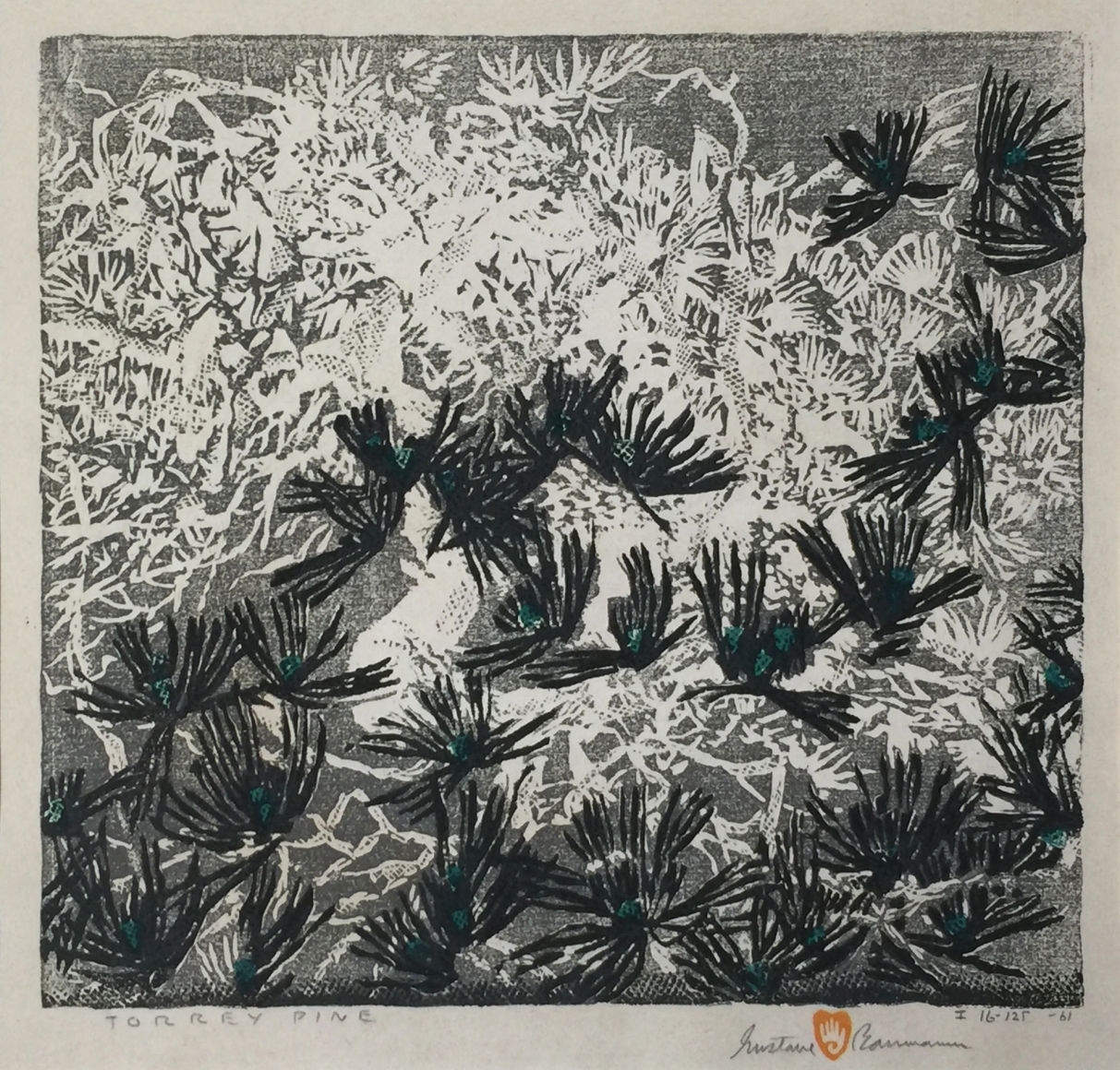 GUSTAVE BAUMANN TORREY PINE
