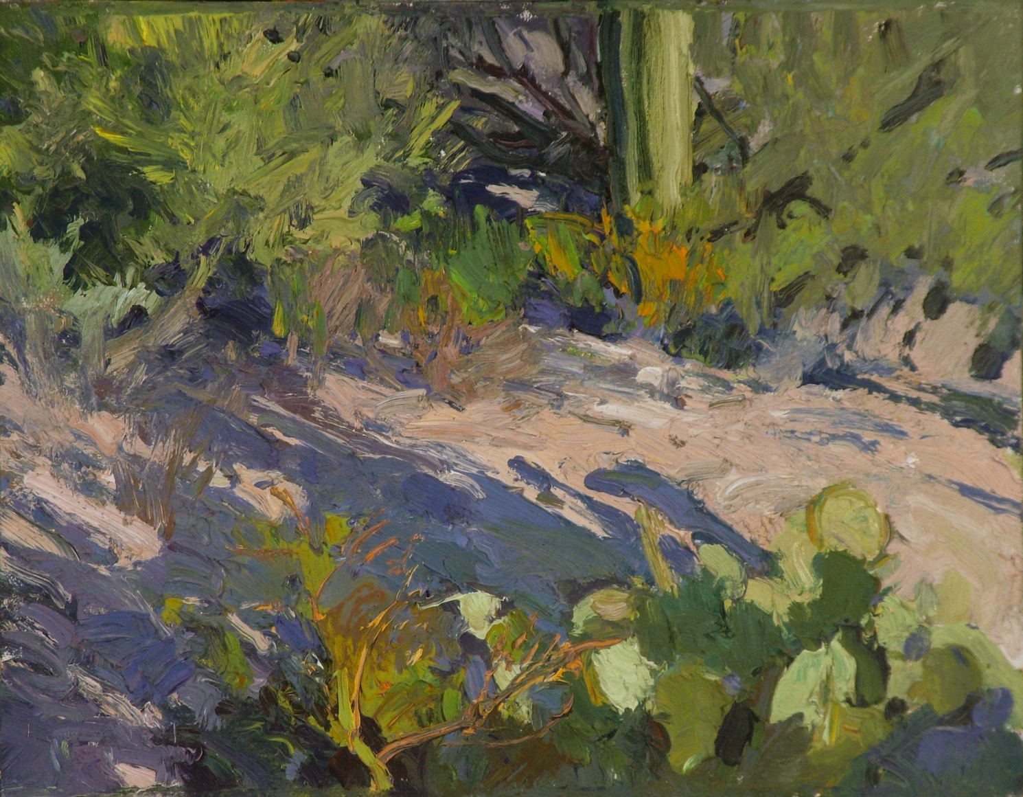 Chmiel catching sunset arizona oil