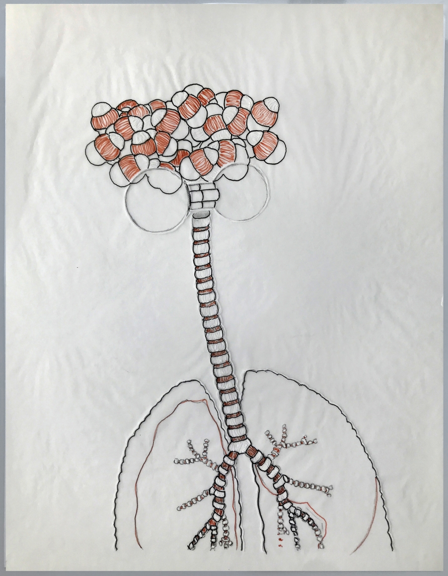 Conversational tools, vanishing acts, DG Krueger, drawings on vellum, Anne & Alan suicides