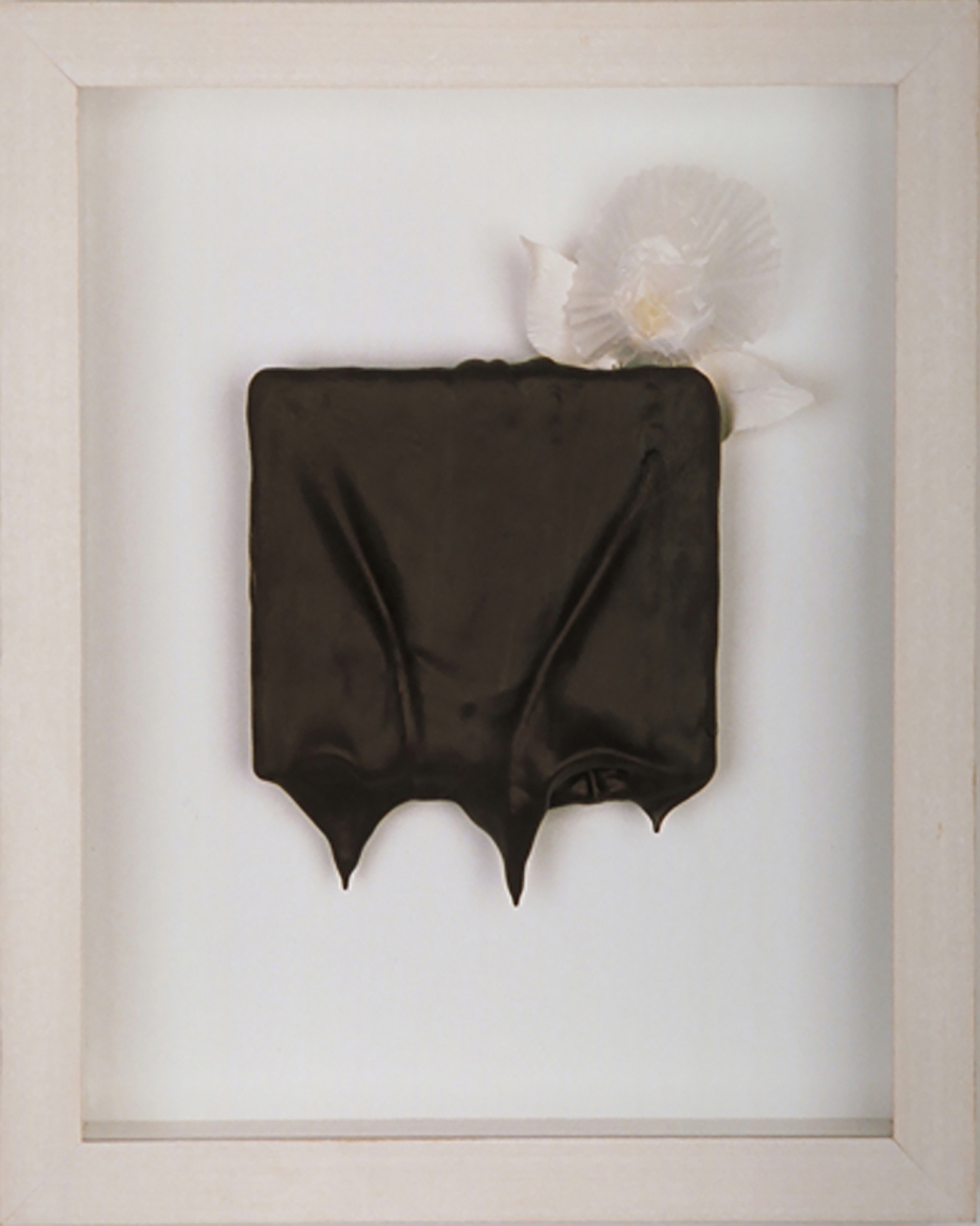 DG Krueger, Homemade Chocolate Covered Sex Polaroids, Gag Order