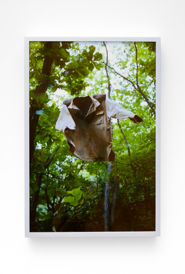 Park Chan-Kyong: Citizen's Forest, 2018. Tina Kim Gallery