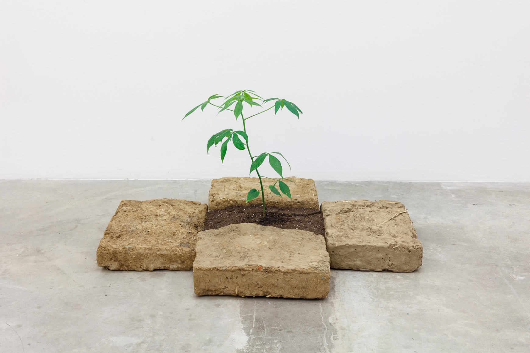 Group Show with Commonwealth and Council: Rafa Esparza and Beatriz Cortez