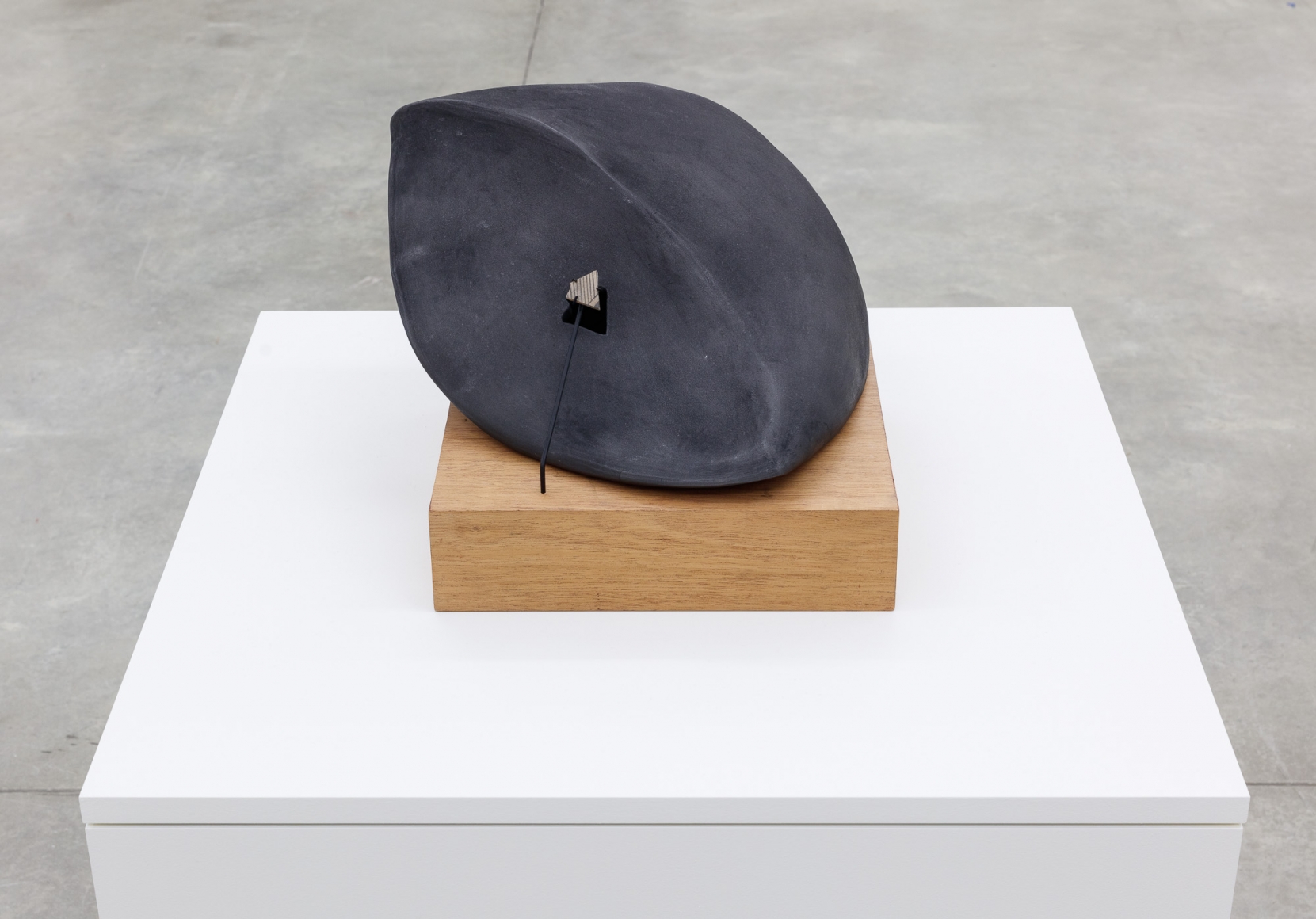 Group Show with Commonwealth and Council: Gala Porras-Kim