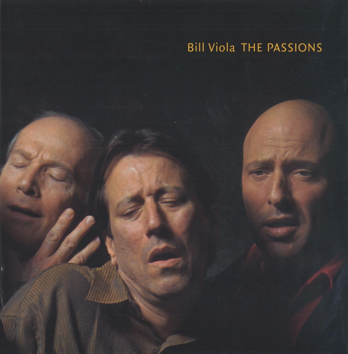  Bill Viola The Passions Books James Cohan