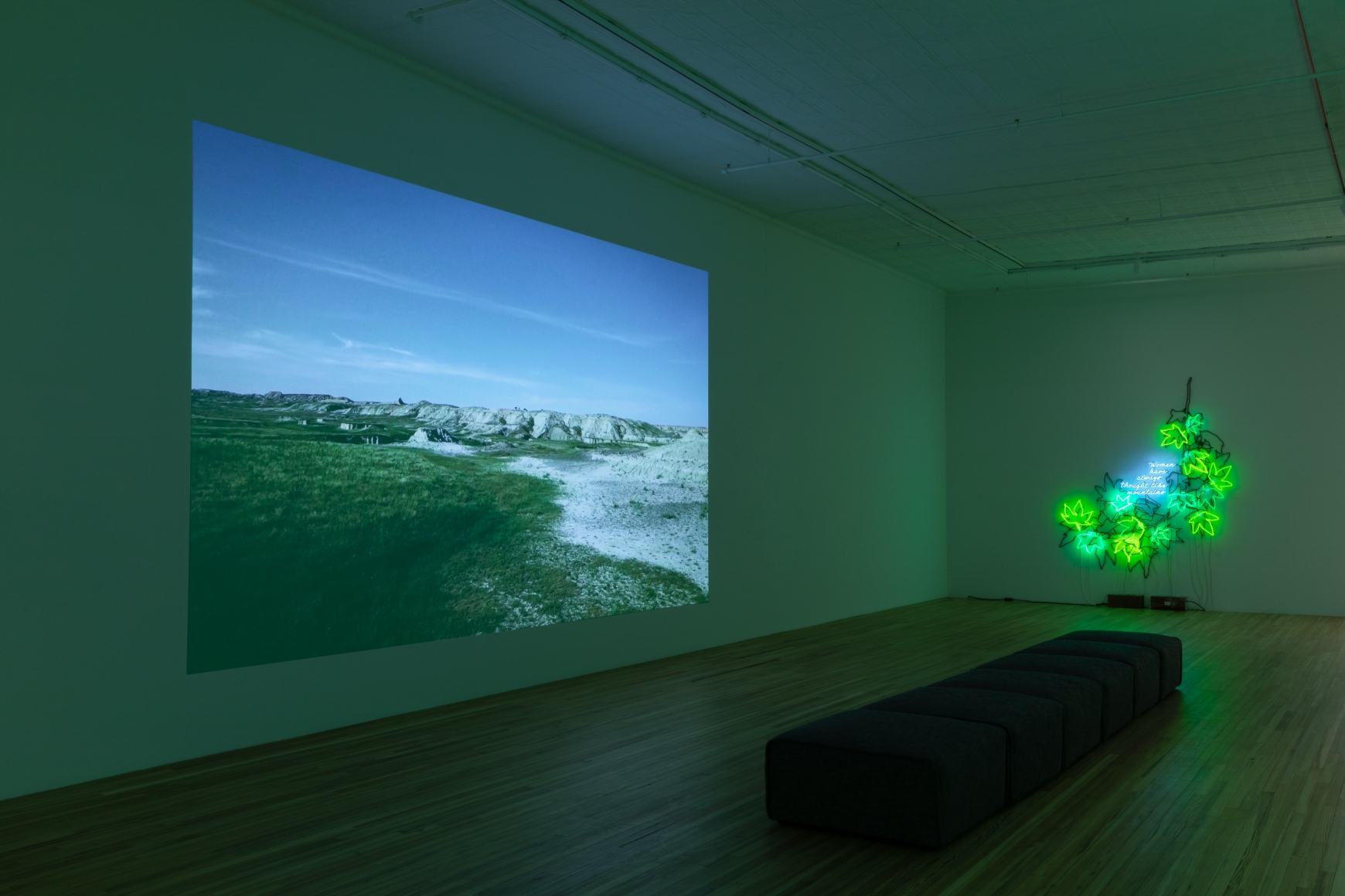 Think of Our Future, Andrew Kreps Gallery, New York, January 10 - February 22, 2020