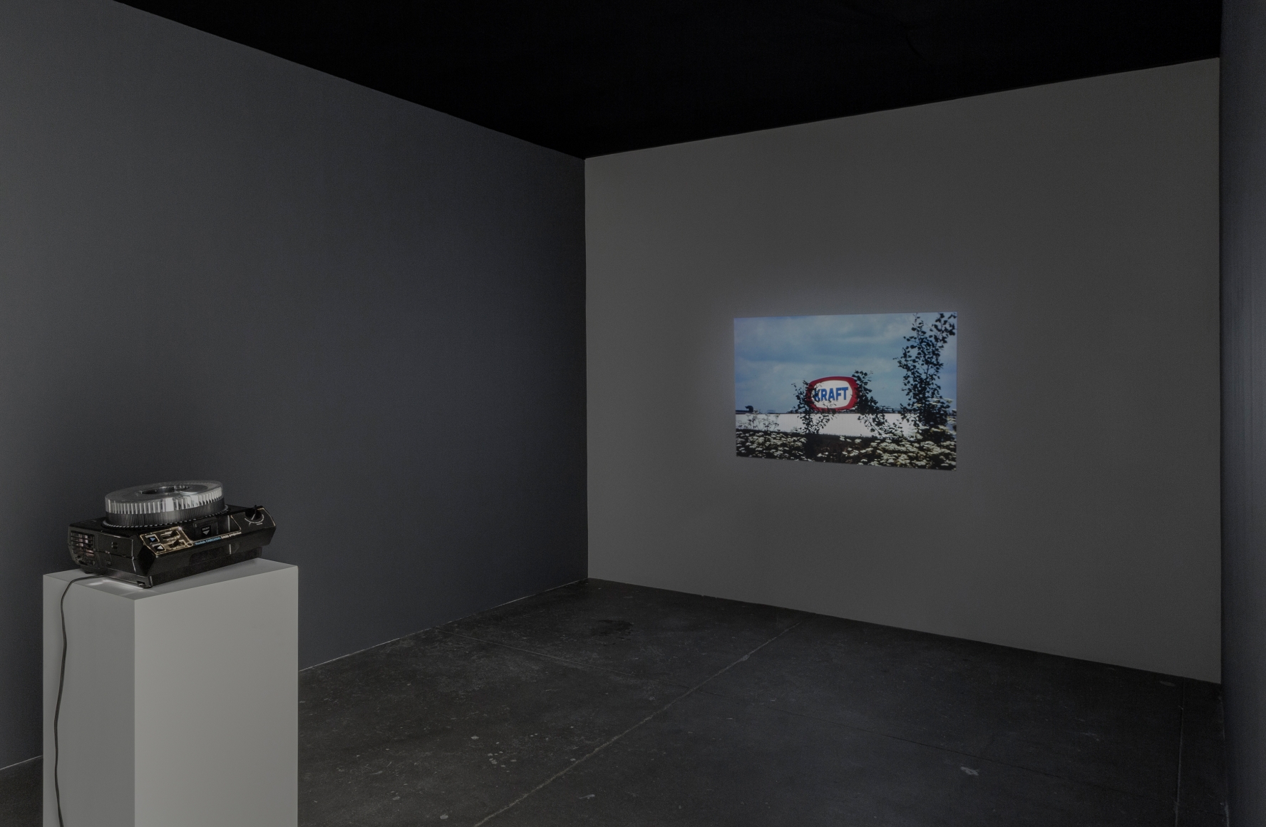 Erscheinungen, Andrew Kreps Gallery, New York
