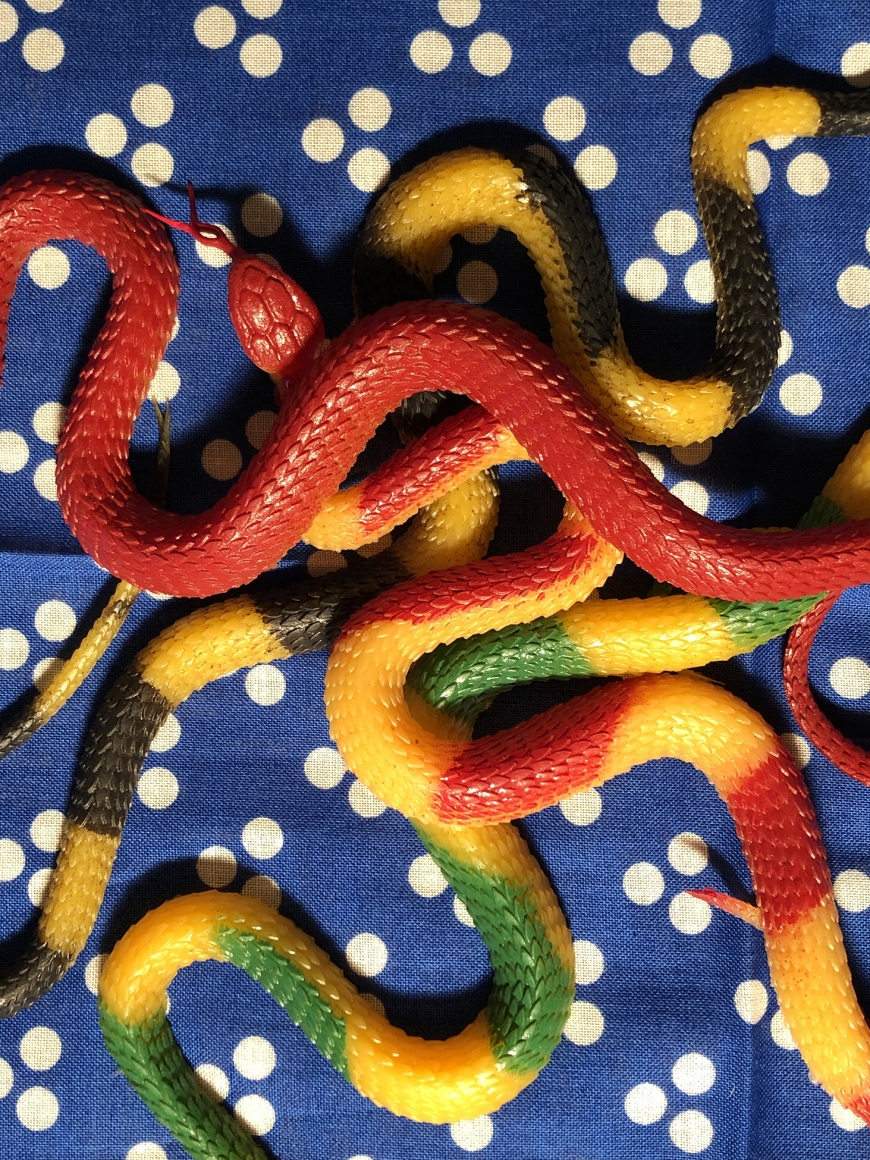 Roe Ethridge Snakes on a Bandanna, 2019
