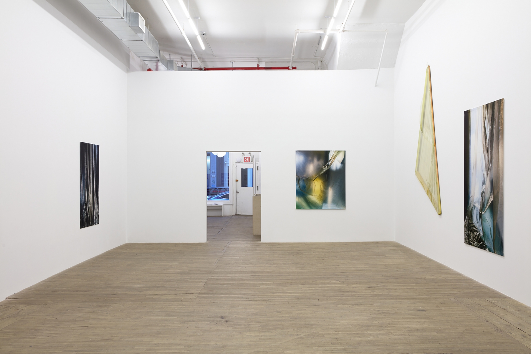 Carla Accardi and Elisa Sighicelli, December 4, 2020 - January 16, 2021, 55 Walker Street