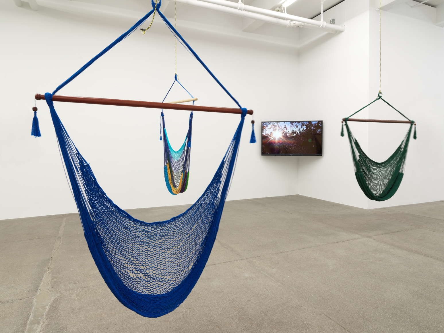 Andrea Bowers I Plan to Stay a Believer - The Arcadia 4 Tree-Sit, 2013