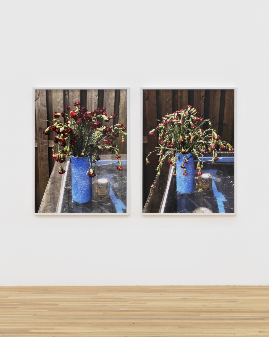 Roe Ethridge, Carnations Lilting, 2018