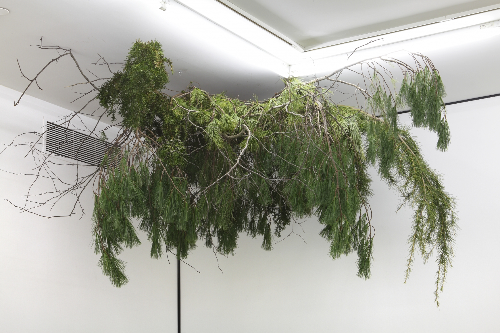 Maria Loboda Ah, Wilderness, 2010