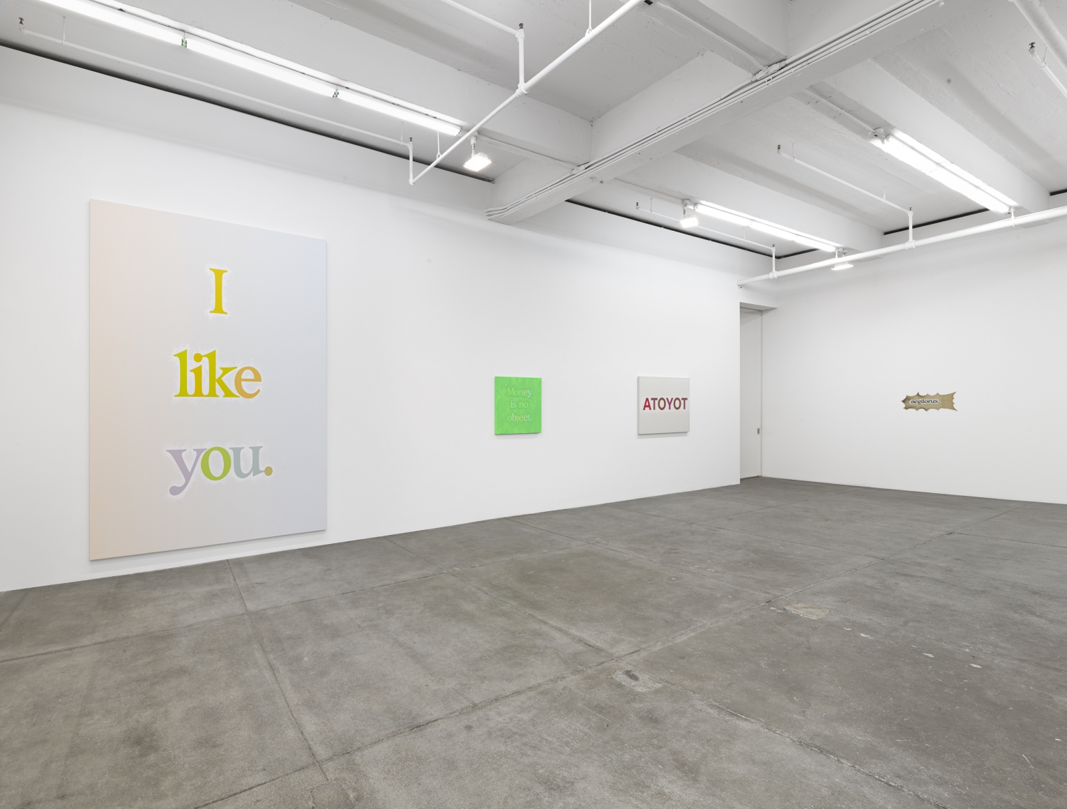 Supercallefragelistic–expiallidocious! (Universal Color, Part I), Andrew Kreps Gallery, New York
