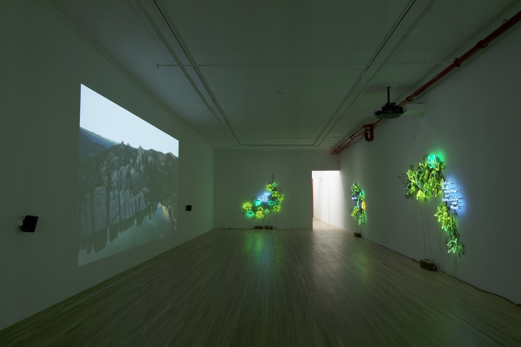 Think of Our Future, Andrew Kreps Gallery, New York, January 10 - February 22, 2020