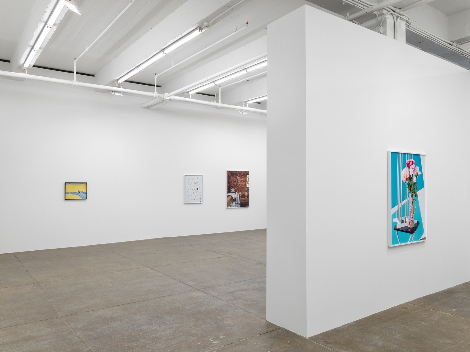 Knots, Andrew Kreps Gallery, New YorkApril 7 - May 12, 2018