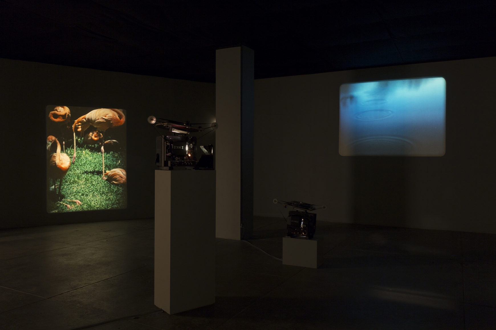 WHERE THE SORCERER DOESN'T DARE TO STICK HIS NOSE and Another B&W Ghost Show, Andrew Kreps Gallery, New York, September 6 - October 20, 2018