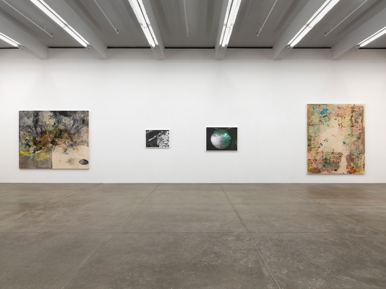 The Deedle Eye, Andrew Kreps Gallery, New York, November 4 - December 23, 2016