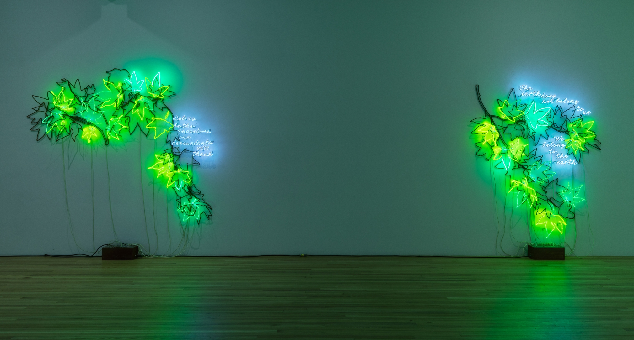 Think of Our Future, Andrew Kreps Gallery, New York, January 10 - February 22, 2020