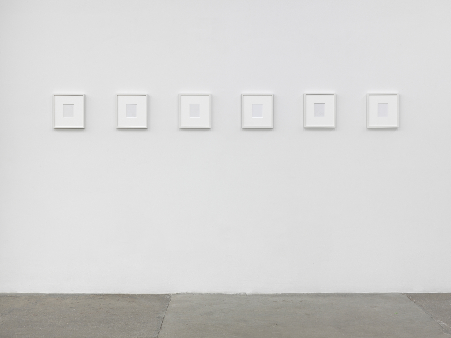 Birdwings and Chambered Shells, Andrew Kreps Gallery, New York