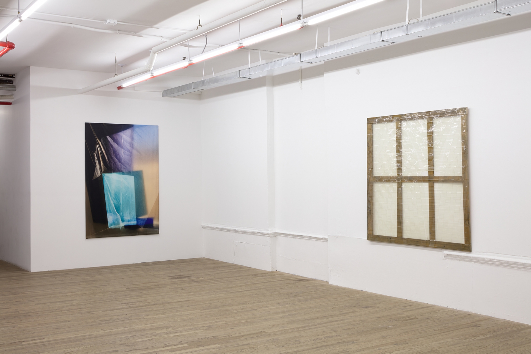 Carla Accardi and Elisa Sighicelli, December 4, 2020 - January 16, 2021, 55 Walker Street