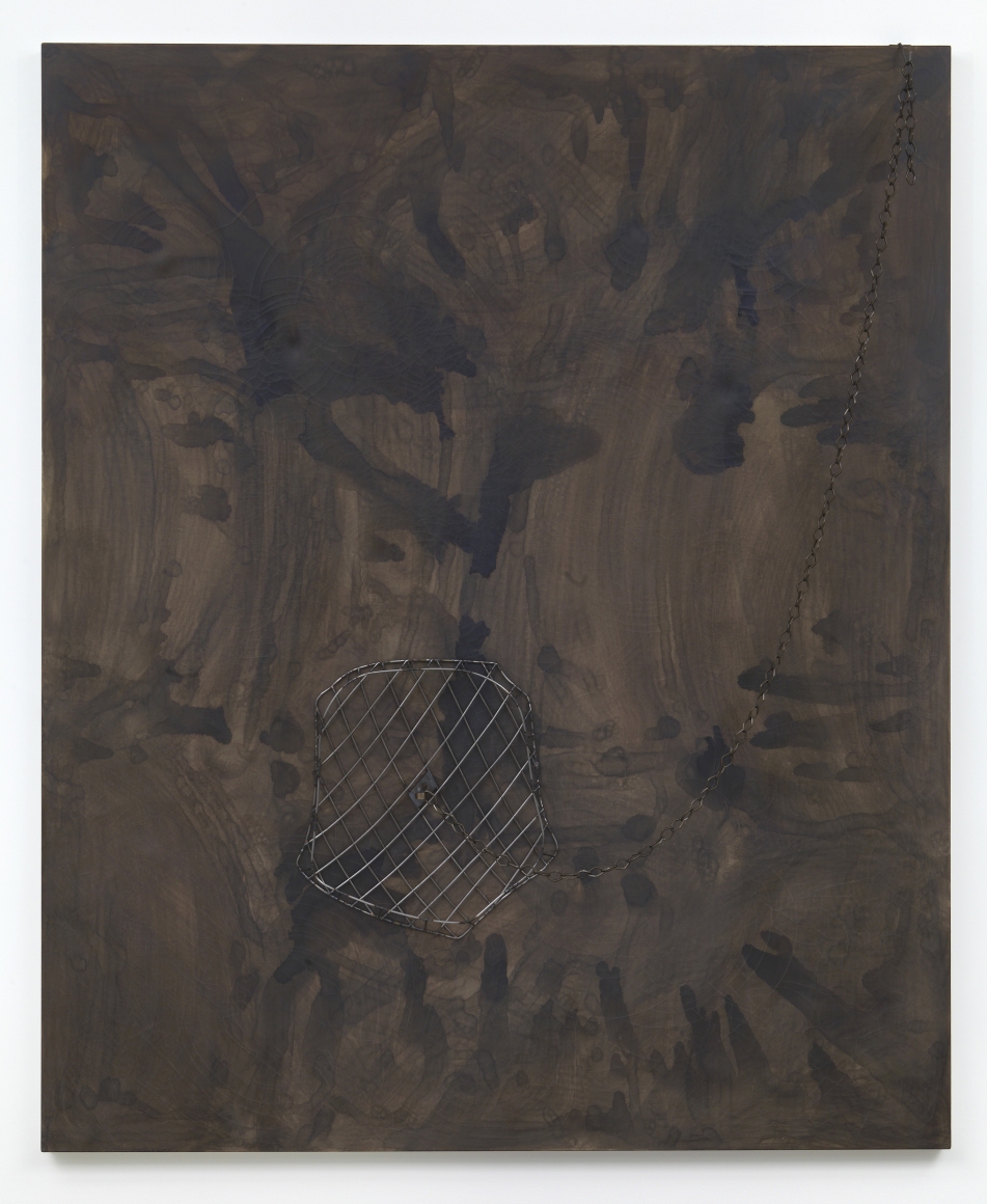 Pádraig Timoney Untitled (Iron Net in the Coral), 2013