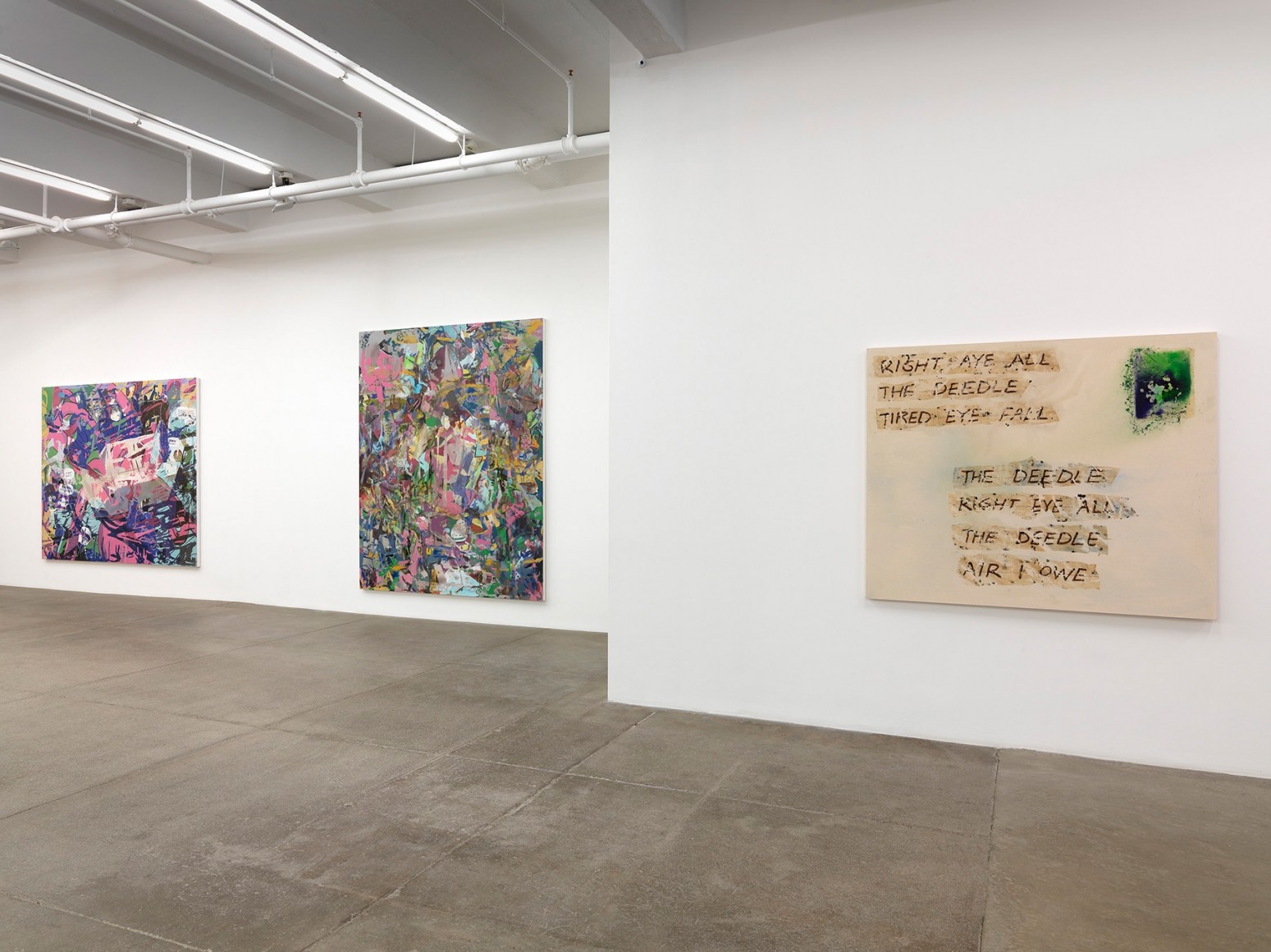 The Deedle Eye, Andrew Kreps Gallery, New York, November 4 - December 23, 2016