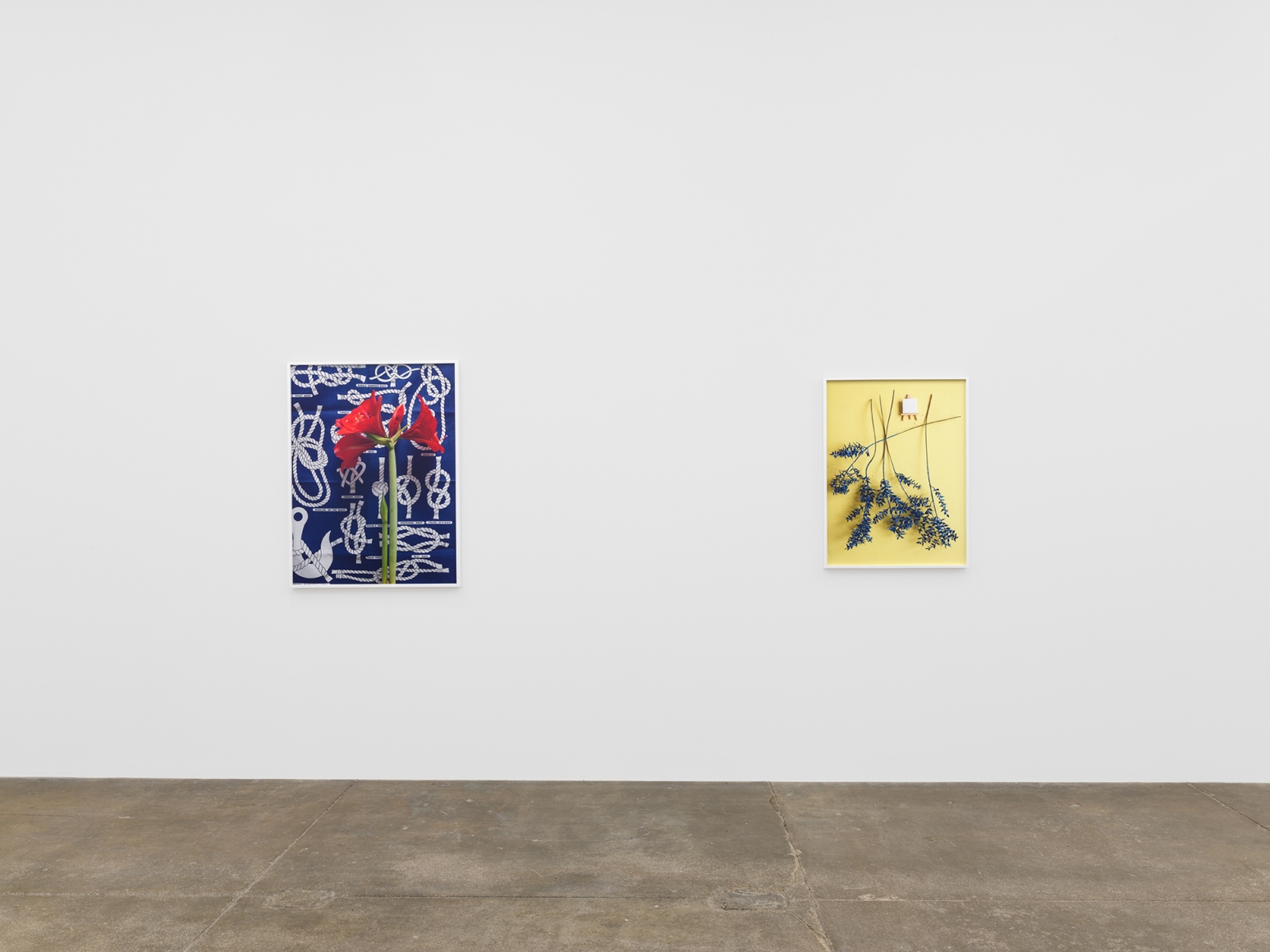 Knots, Andrew Kreps Gallery, New YorkApril 7 - May 12, 2018