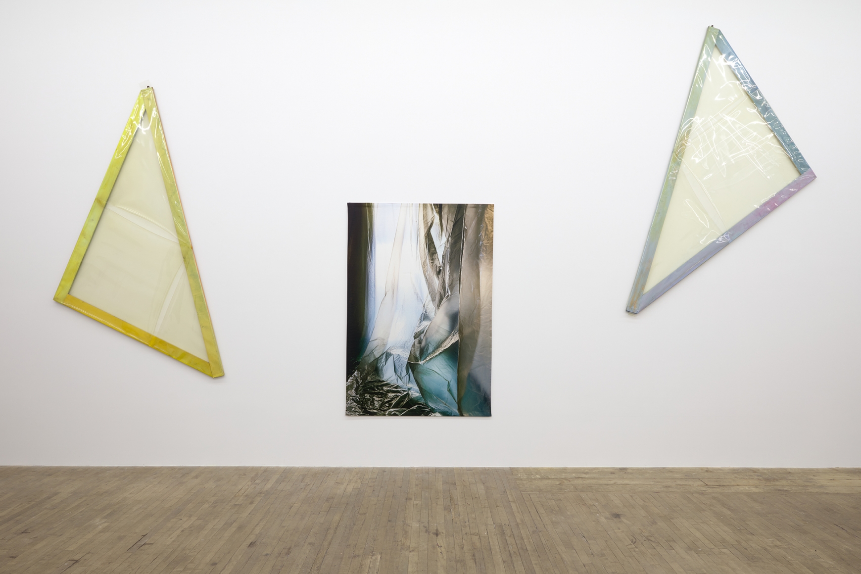 Carla Accardi and Elisa Sighicelli, December 4, 2020 - January 16, 2021, 55 Walker Street