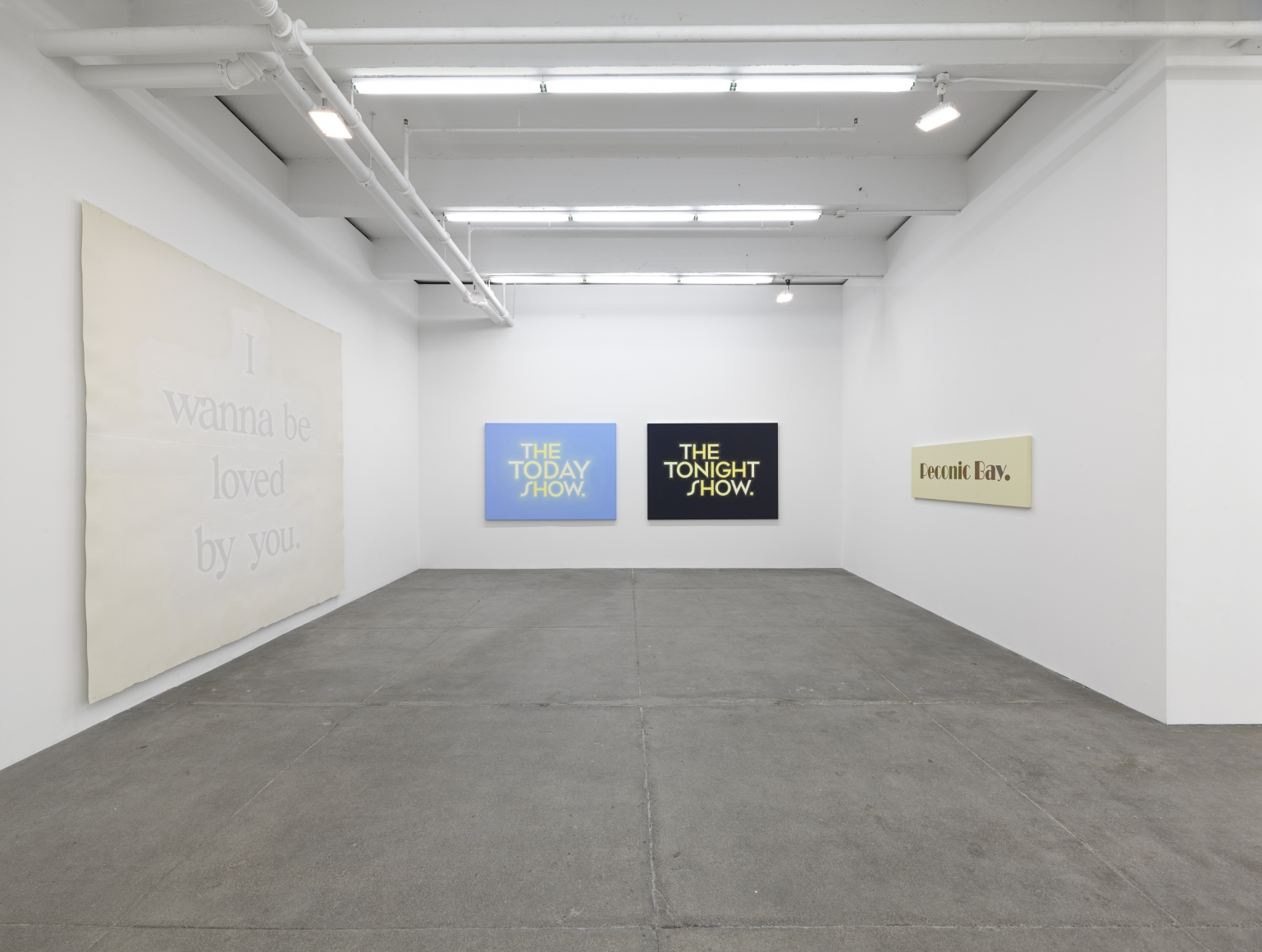 Supercallefragelistic–expiallidocious! (Universal Color, Part I), Andrew Kreps Gallery, New York