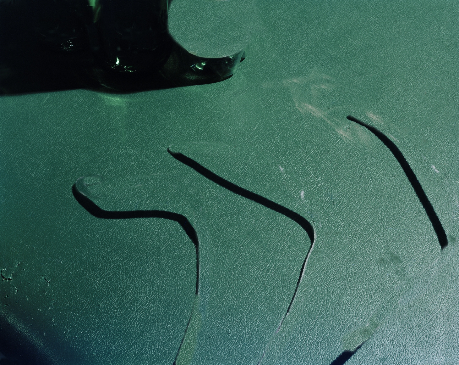 Lucas Blalock A Picture for Wallas, 2015