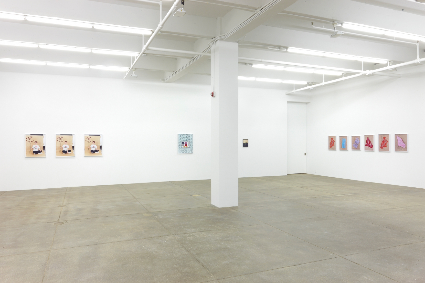 Andrew Kreps Gallery, New York âSeptember 12th - November 2nd, 2013