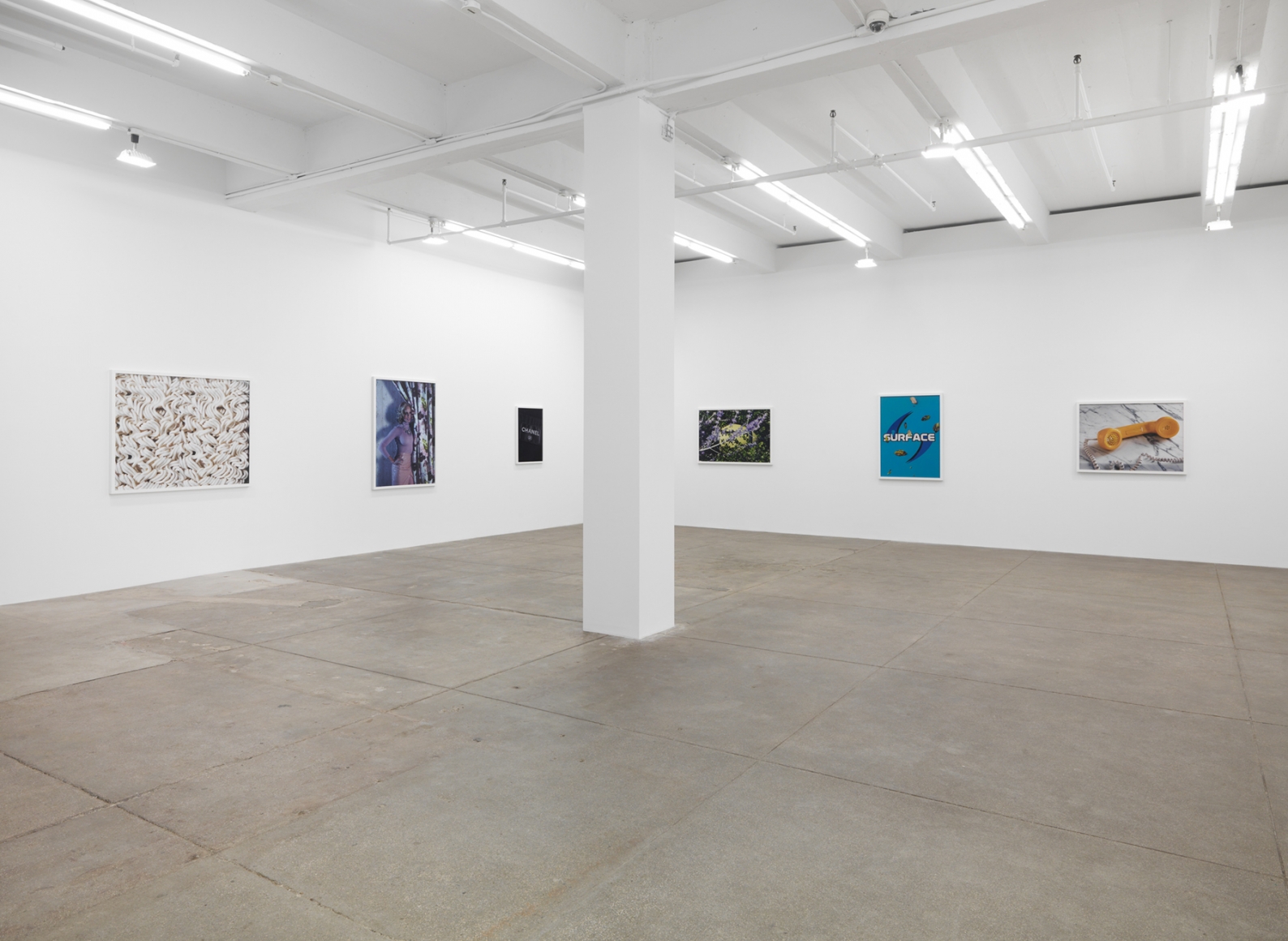 Sacrifice Your Body, Andrew Kreps Gallery, New York