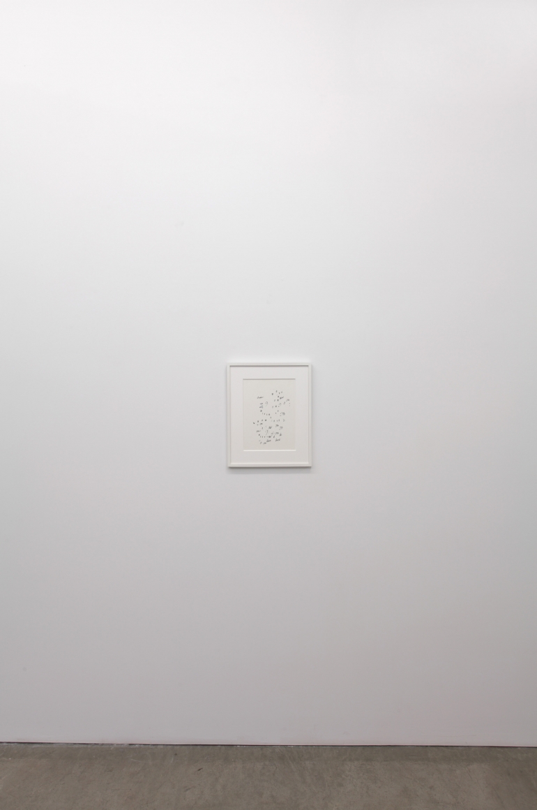 Robert Macaire Chromachromes, Andrew Kreps Gallery, New York, May 2 - July 4, 2009
