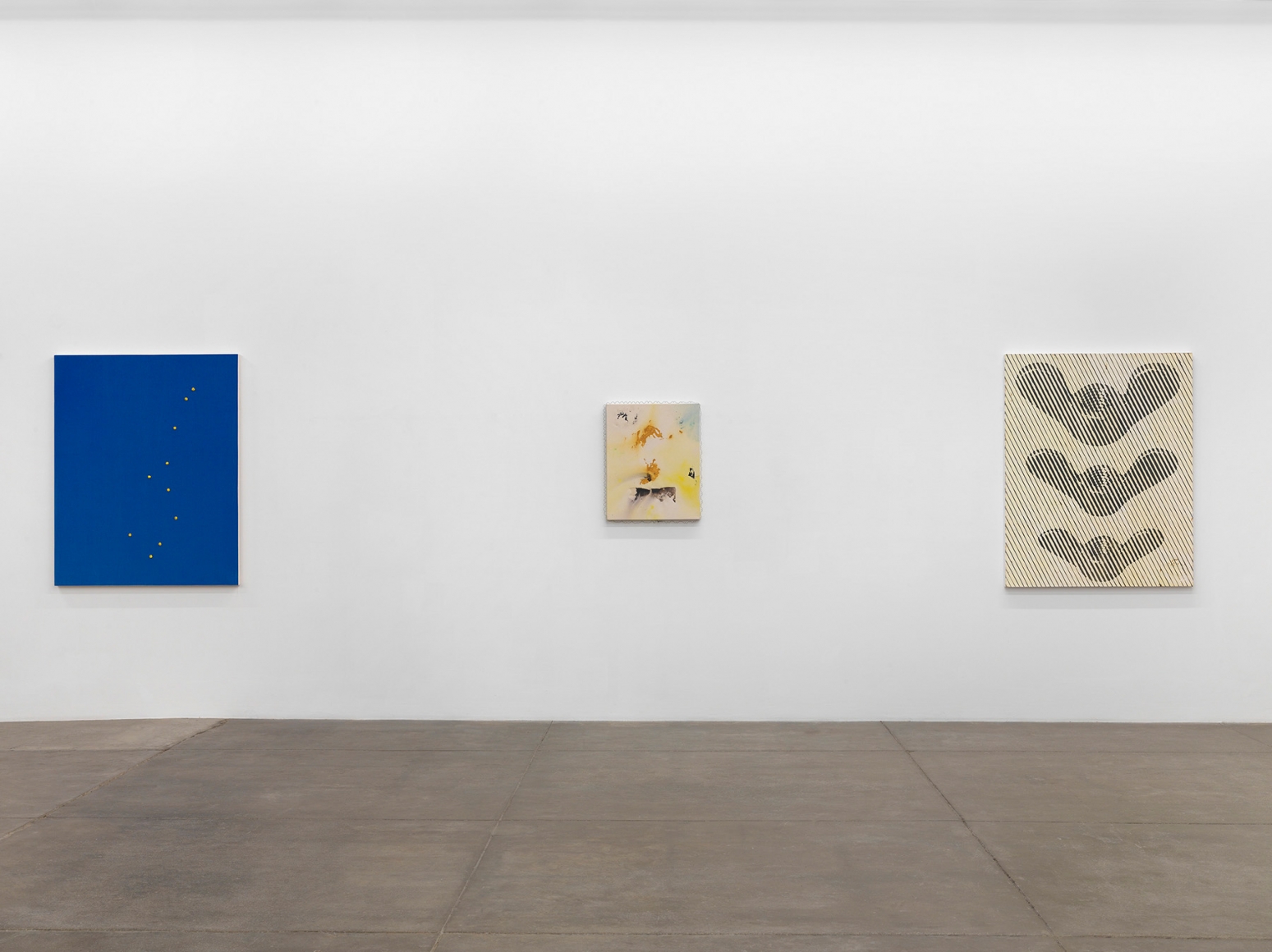 The Deedle Eye, Andrew Kreps Gallery, New York, November 4 - December 23, 2016