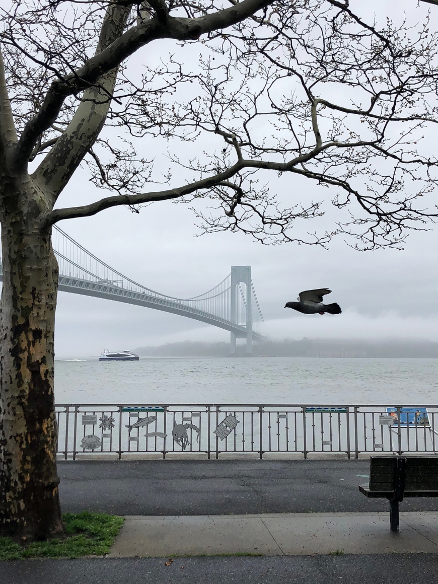 Roe Ethridge, Verrazano Bridge, 2019