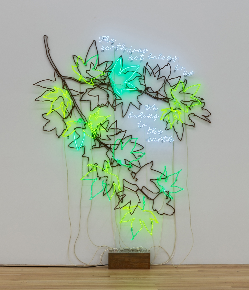 Andrea Bowers, Ecofeminist Sycamore Branches: The Earth Does Not Belong to Us , We Belong to the Earth, 2019