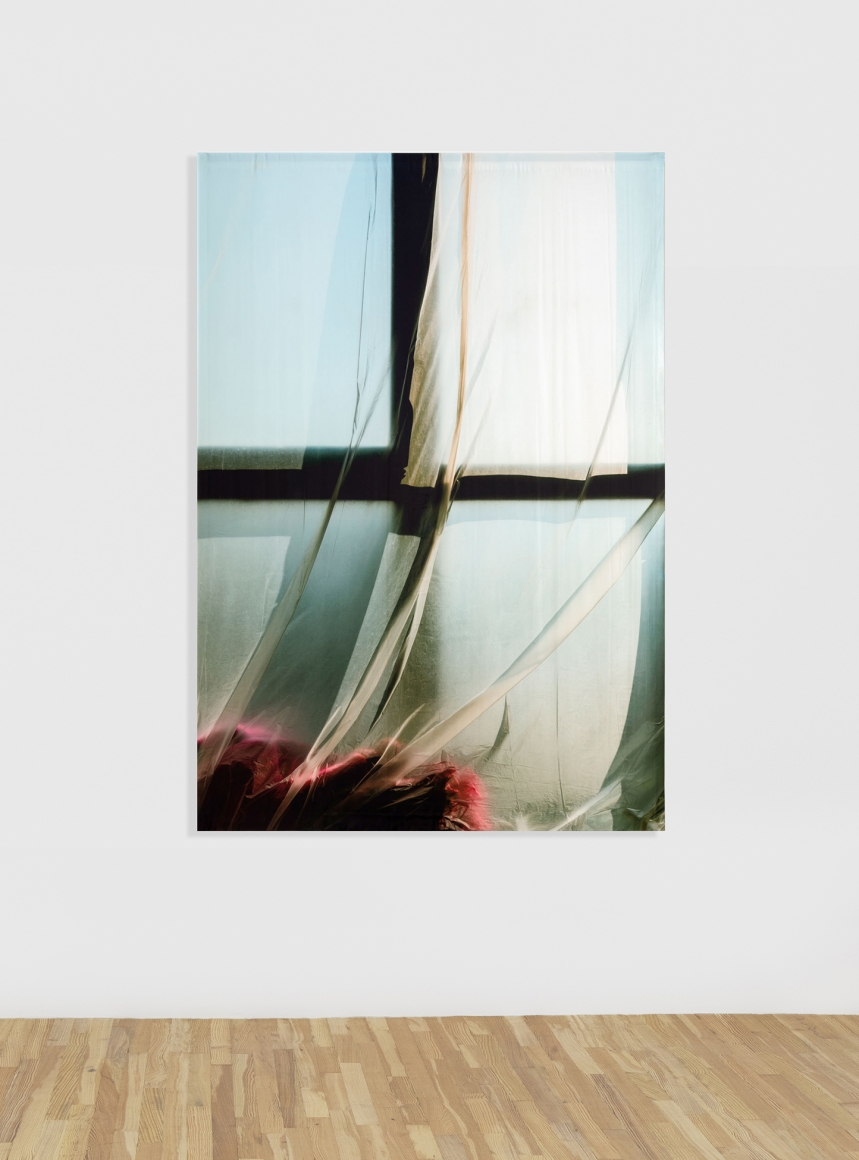 Elisa Sighicelli Untitled (1244), 2020