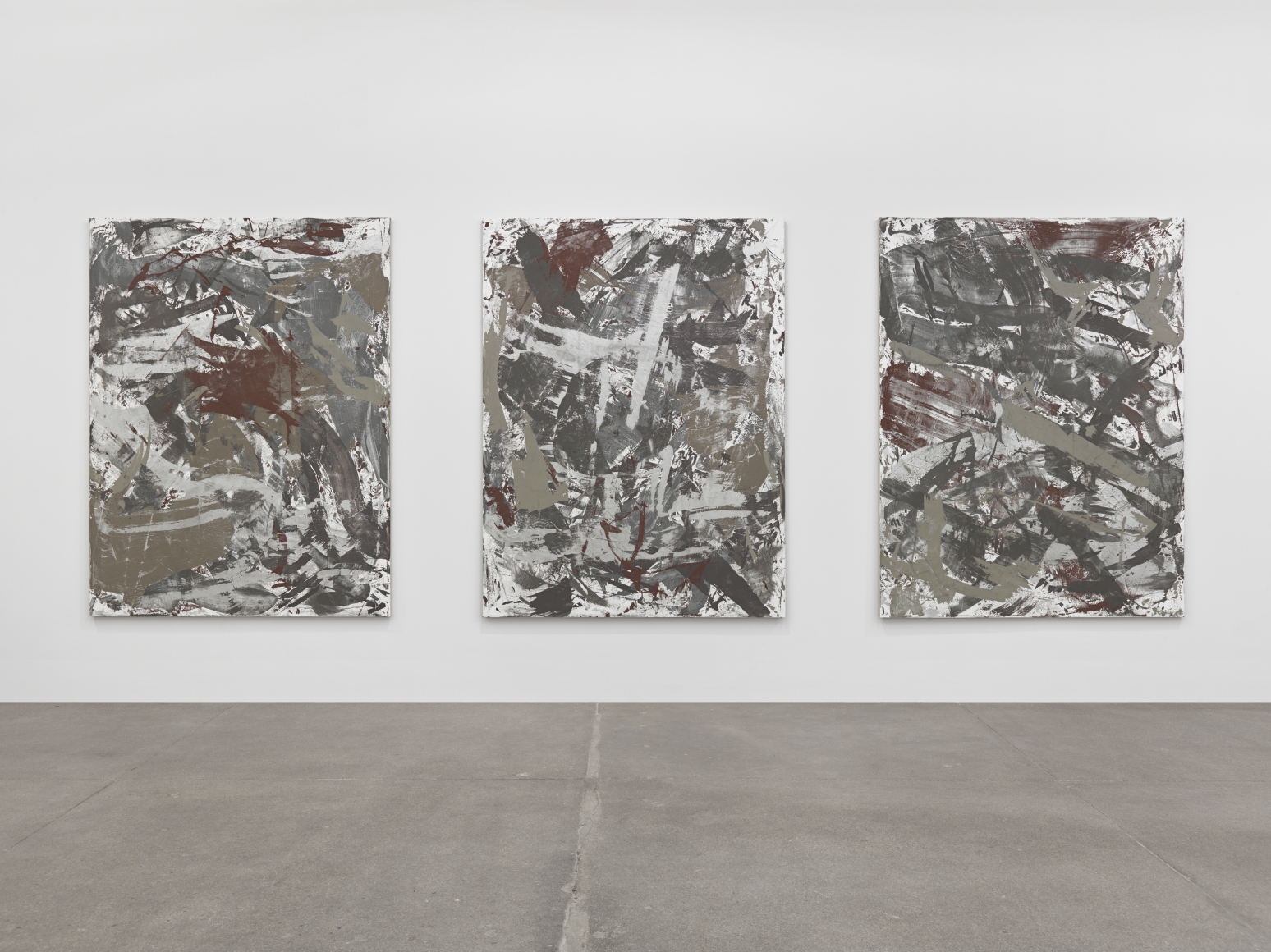Birdwings and Chambered Shells, Andrew Kreps Gallery, New York