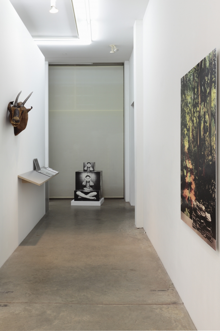 Darren BaderChad Ochocinco, Andrew Kreps Gallery, New YorkFebruary 26 - March 26, 2011