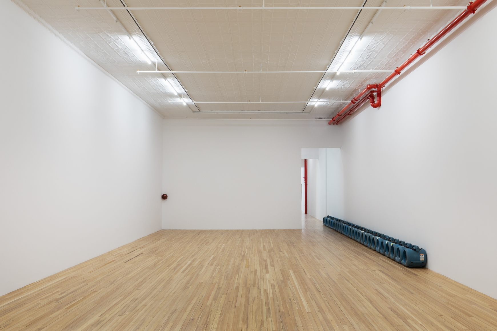 Exhibition view.