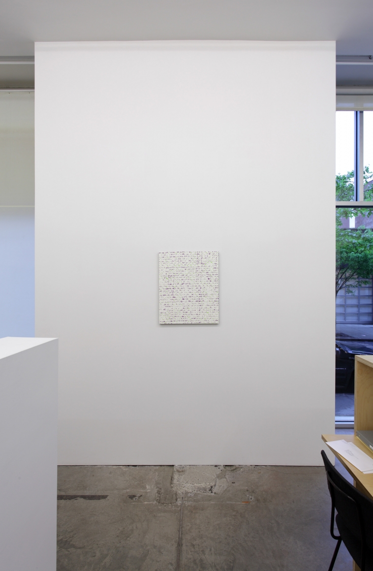 Robert Macaire Chromachromes, Andrew Kreps Gallery, New York, May 2 - July 4, 2009