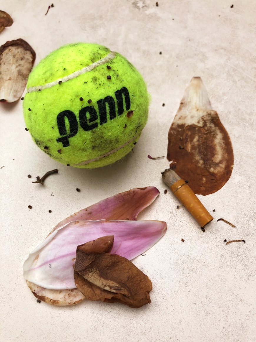 Roe Ethridge, Penn and Wet Butt, 2019