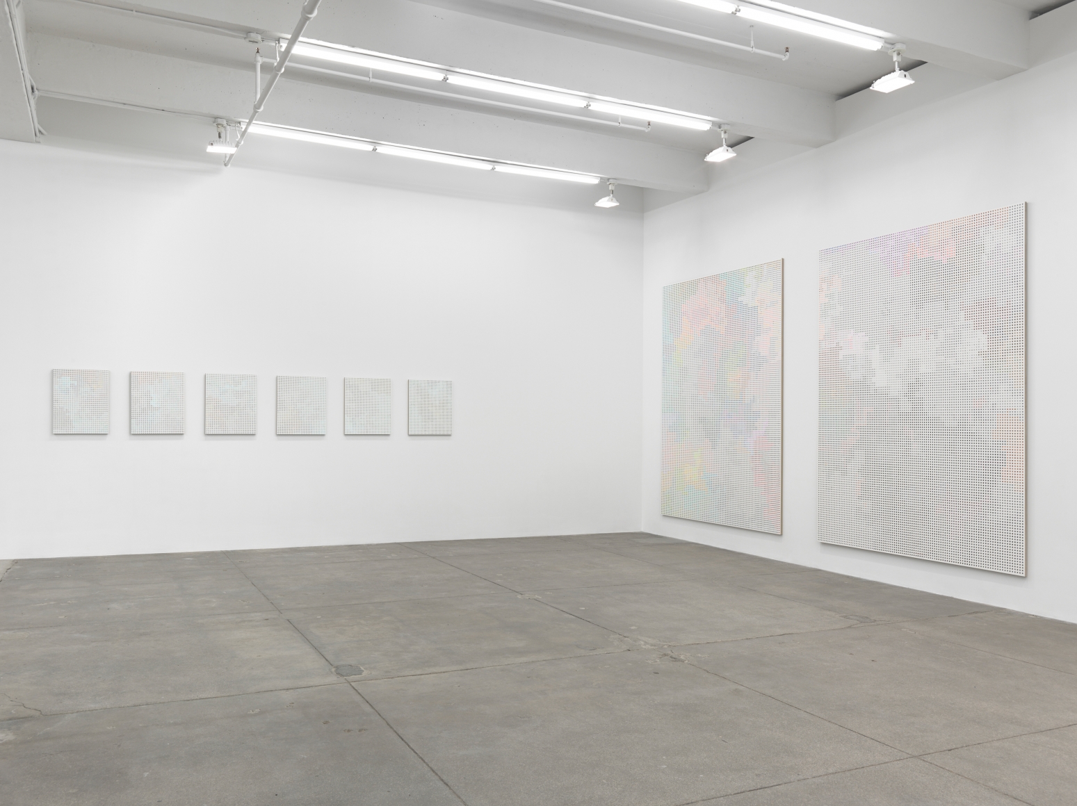 Birdwings and Chambered Shells, Andrew Kreps Gallery, New York