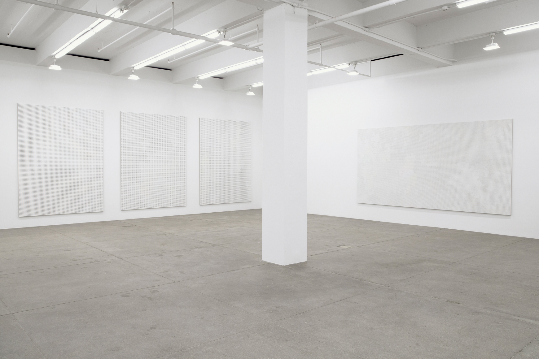 Birdwings and Chambered Shells, Andrew Kreps Gallery, New York