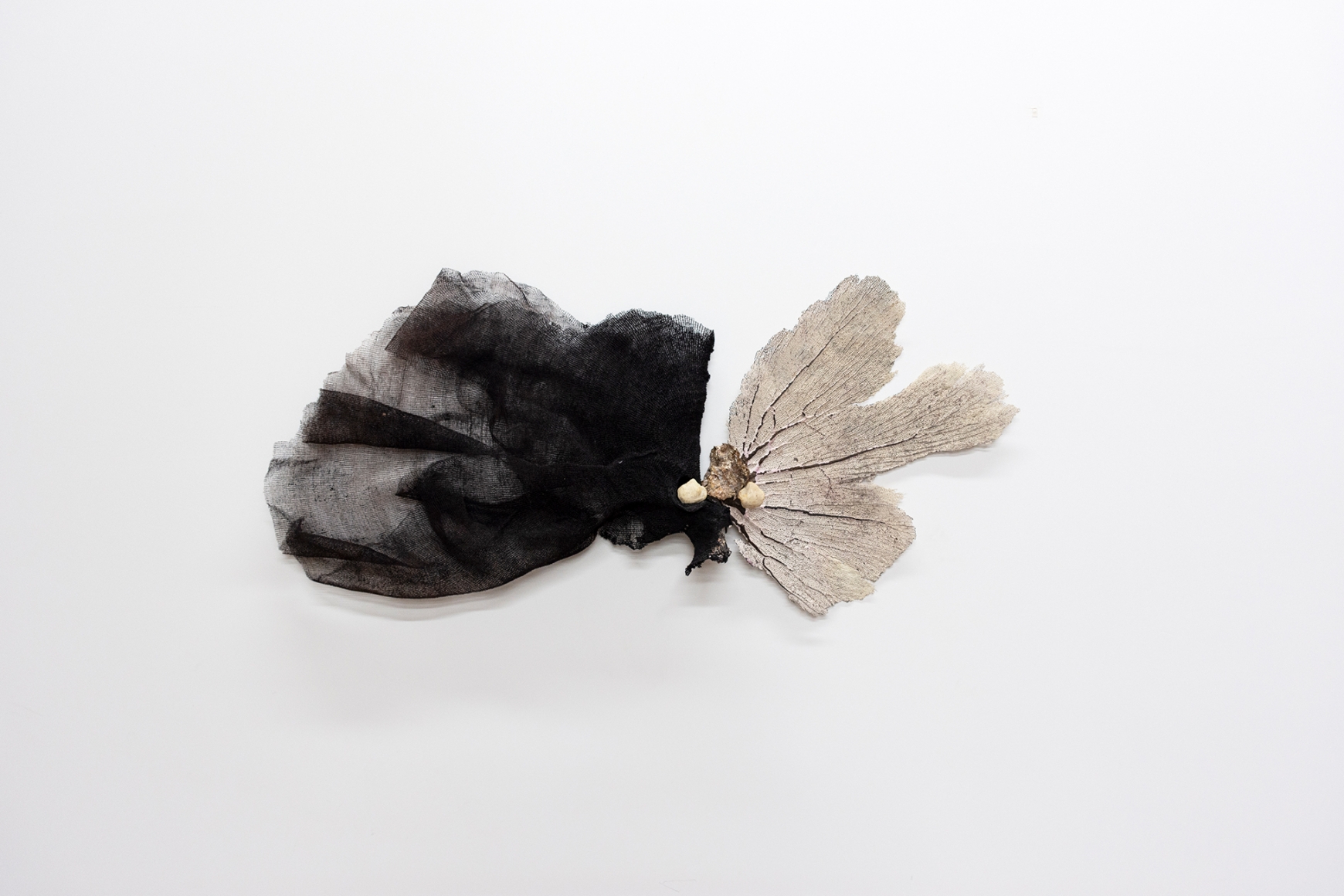Michael E. Smith, Untitled, 2019