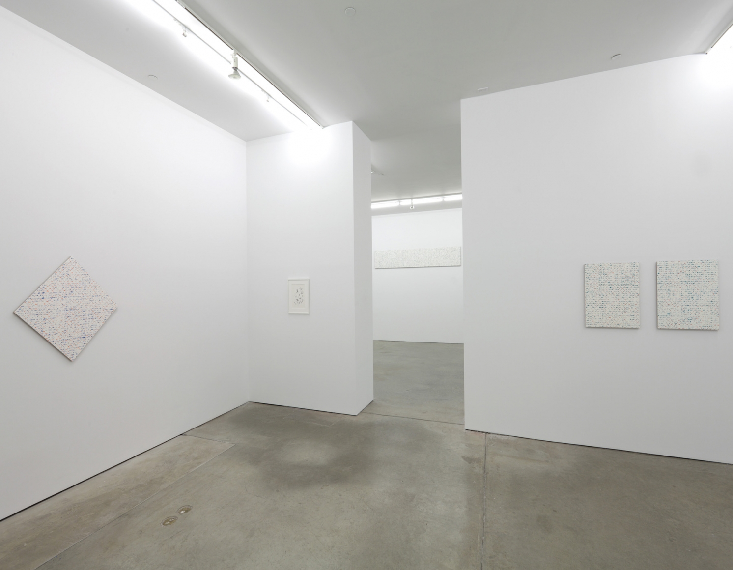 Robert Macaire Chromachromes, Andrew Kreps Gallery, New York, May 2 - July 4, 2009
